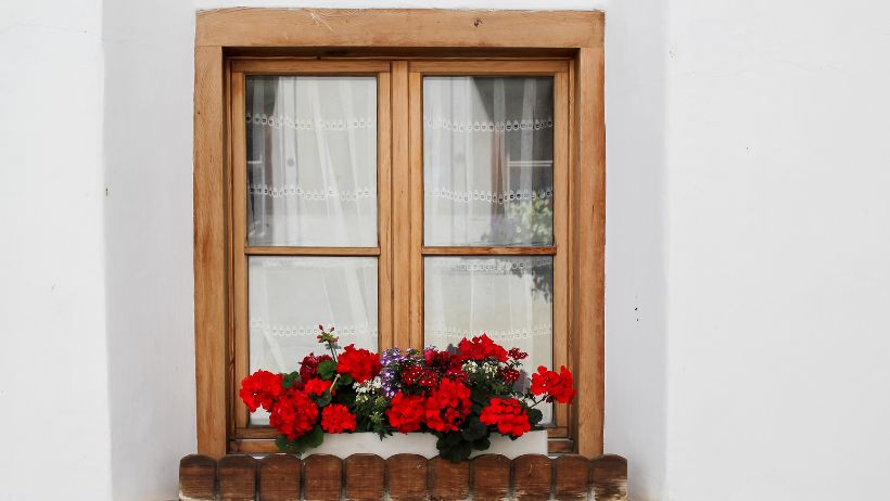 Lesena okna in vrata
